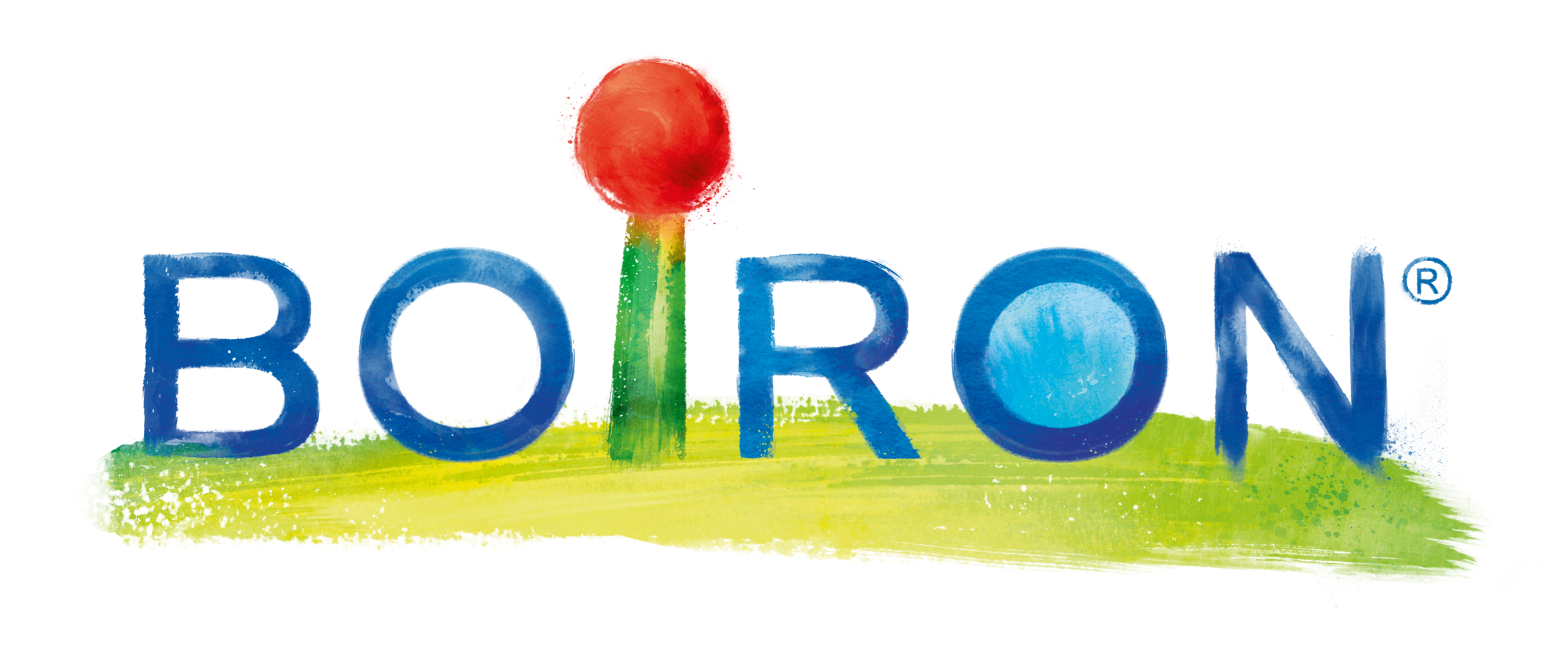 Компания Буарон Boiron